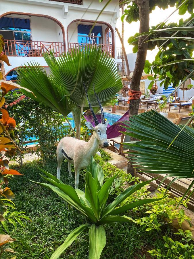 Utulivu Bungalow Nungwi Luaran gambar